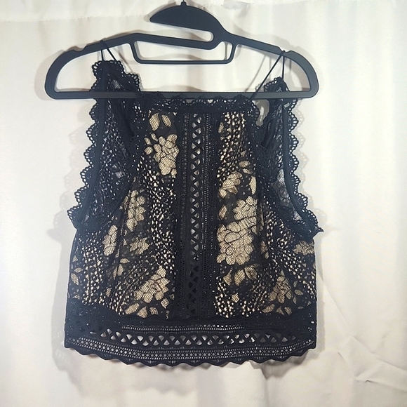 Windsor Tops - Windsor Elegant Crop Top - Size XL in Nude/Tan/Cream and Black